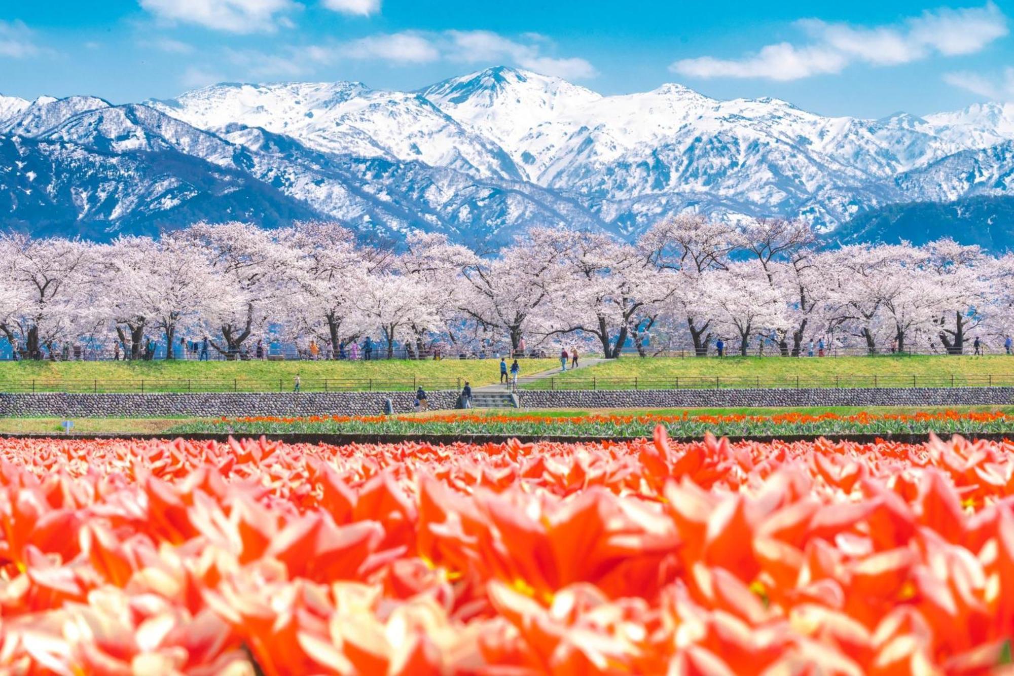 ANA Crowne Plaza Toyama, an IHG Hotel Eksteriør billede